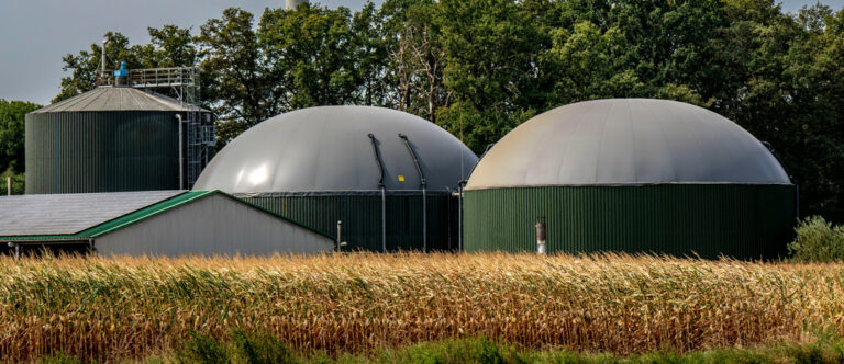 Biogas