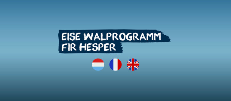 walprogramm-hesper1