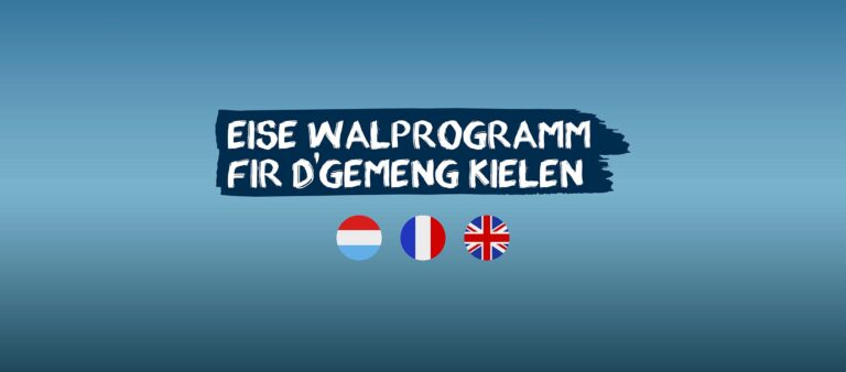 walprogramm-kielen