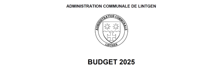 20241212 - Budget 2025 2