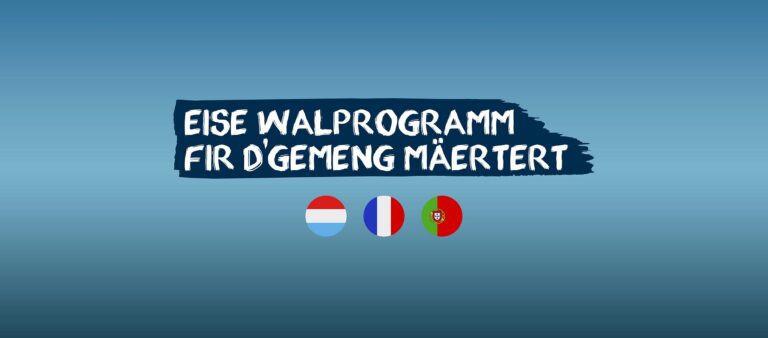 walprogramm-mertert