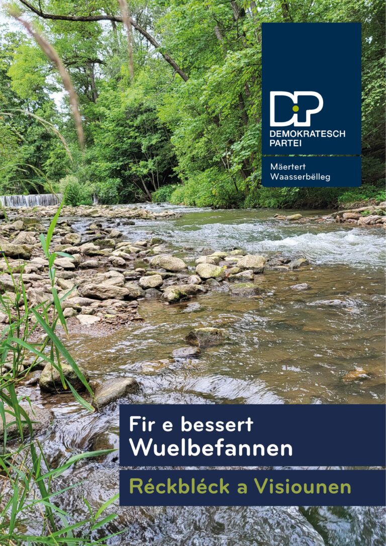 Flyer_DP_2025_Réckbléck a Visiounen_Web