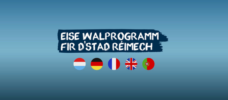 walprogramm-reimech