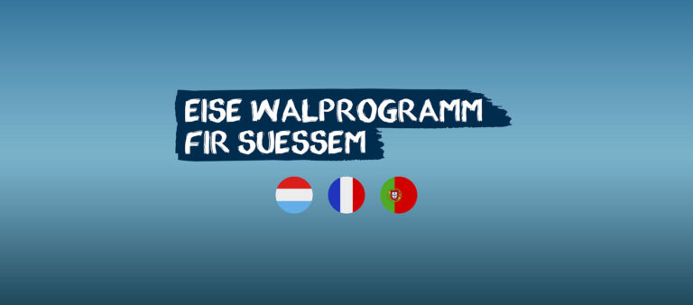 walprogramm-suessem