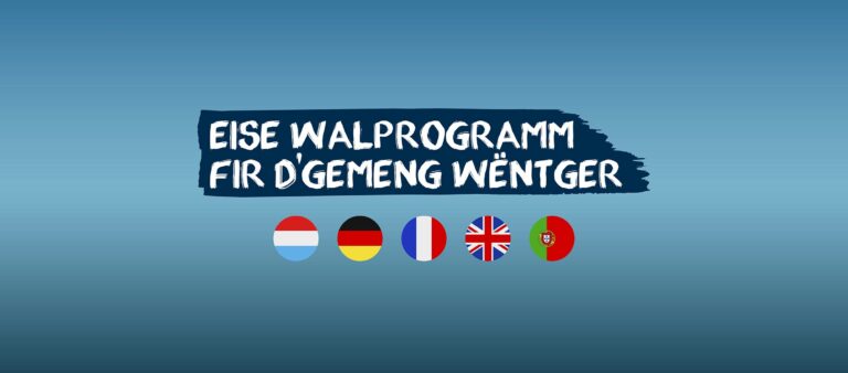 walprogramm-wentger