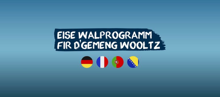 Walprogramm-DP-Wooltz