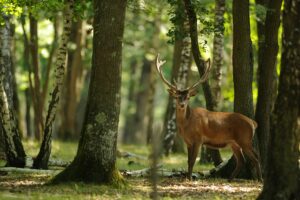 Natur- an Ëmweltschutz